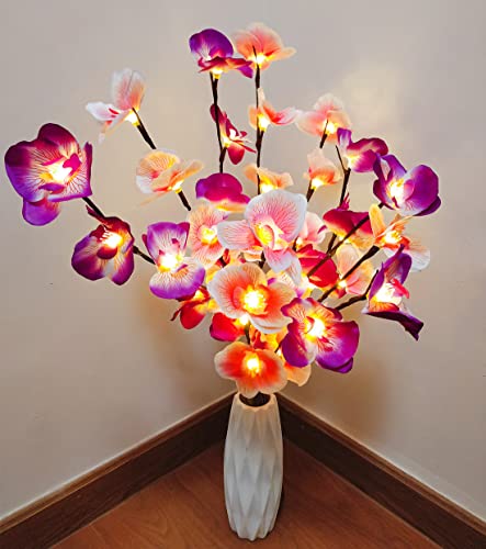Fantasee Lot de 2 branches d'orchidée, 20 LED artificielles à piles - Pour décoration de maison, magasin, vitrines, vase, chambre, mariage, Noël (rose +...
