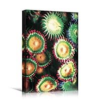 SIGNWIN Canvas Wall Art Green, Yellow, Red and Orange Underwater Coral Reef Sea Anthopleura Marine Life Ocean Realism Beach Closeup Colorful Neon for Living Room, Bedroom, Office - 12x18 inches