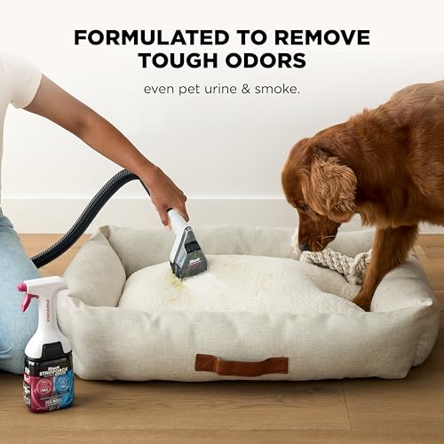 Image of Shark EveryMess | Ultra-Powerful 3-in-1 Wet Vac, Dry Vac, & Stain Eliminator | StainForce Technology, Perfect for Homes, Pets, and Cars | 3 Accessories and Cleaning Solution | Blue | VX102BRN