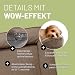 Lumaland orthopädisches Hundebett aus Cord | ergonomisches Hundesofa 70x60 cm - für kleine Hunde | Boden rutschfest | Füllung und Bezug waschbar | Hundekörbchen mit Memory Schaumstoff