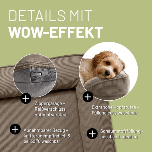 Lumaland orthopädisches Hundebett aus Cord | ergonomisches Hundesofa 70x60 cm - für kleine Hunde | Boden rutschfest | Füllung und Bezug waschbar | Hundekörbchen mit Memory Schaumstoff