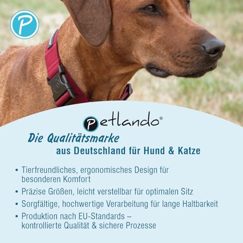 Petlando Hundegeschirr Mesh Vest, leichtes Brustgeschirr aus weichem Mesh & Nylon, stufenlos verstellbar, reflektierend mit 2 D-Ringen, Petrol M, Welpengeschirr mitwachsend