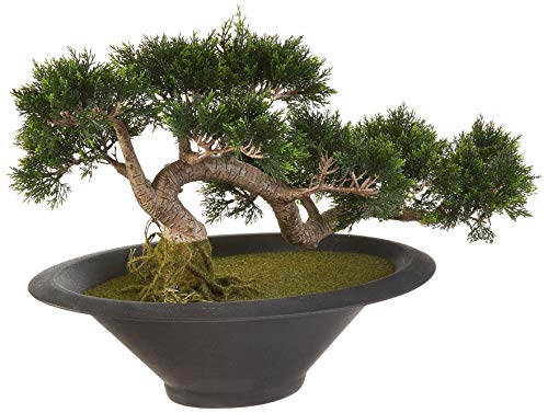 Silk Decor Trailing Cedar Bonsai Plant, Green