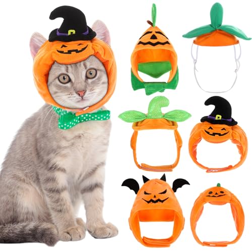 Disfraz para perro y gato Halloween con sombreros calabaza x6