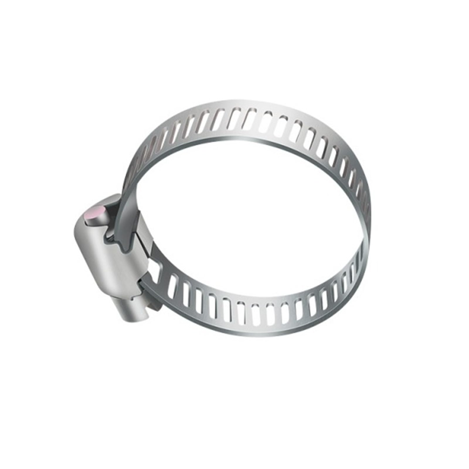 Rtgcx One Color 10-30Pcs Hose Clamps Stainless Steel Adjustable Worm Gear Pip Tube Tool For Water Pipe Plumbing Fuel Line Intercooler