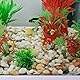 KXVXXV Kleine Dekosteine Bunt für Vasen 900g (6-15mm) Deko Kieselsteine Kleine Dekosteine für Aquarium Ziersteine Innen für Blumentopf
