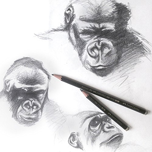 Lápis Grafite Faber-Castell Técnico Regente Sextavado Castell 9000