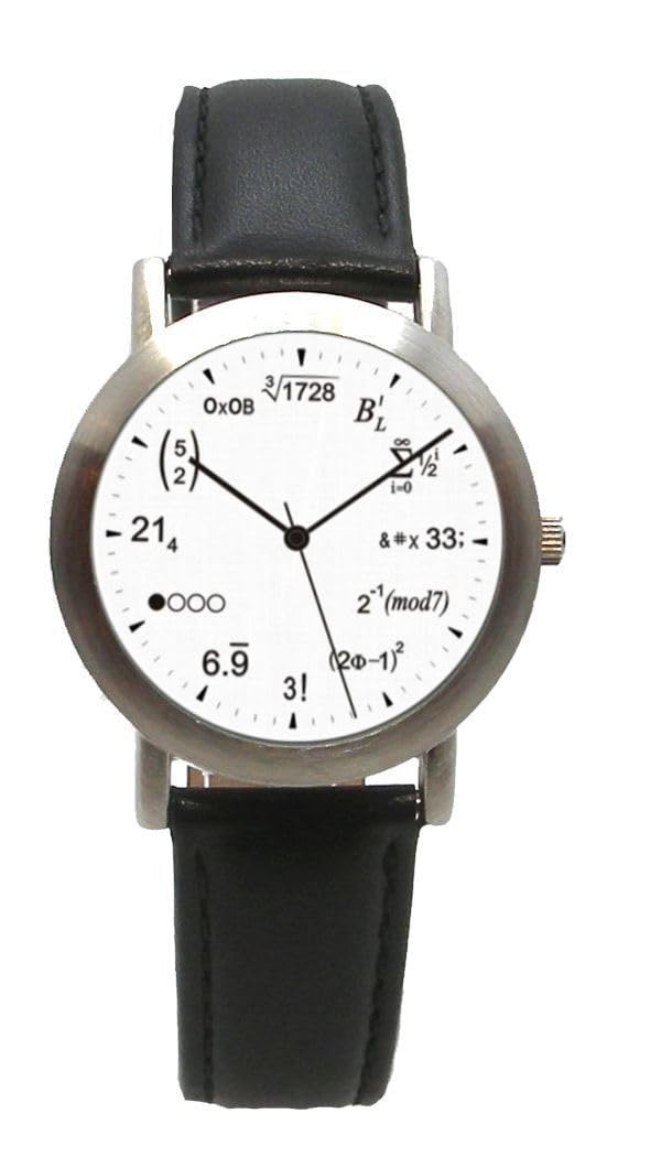 Math Dial Watch Shows Physics Equations at Each Hour Indicator on The White Dial of The Unisex Size Brushed Chrome Watch with Black Leather Strap