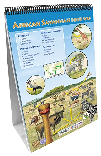 Image of NewPath Learning - 34-6305 10 Piece Food Chains /Food Webs Curriculum Mastery Flip Chart Set, Grade 5-10