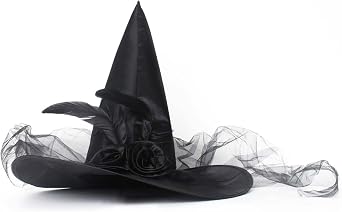 JUSTOTRY Halloween Witch Hat - Halloween Costume Witches Hats for Women attached with Roses & Feathers