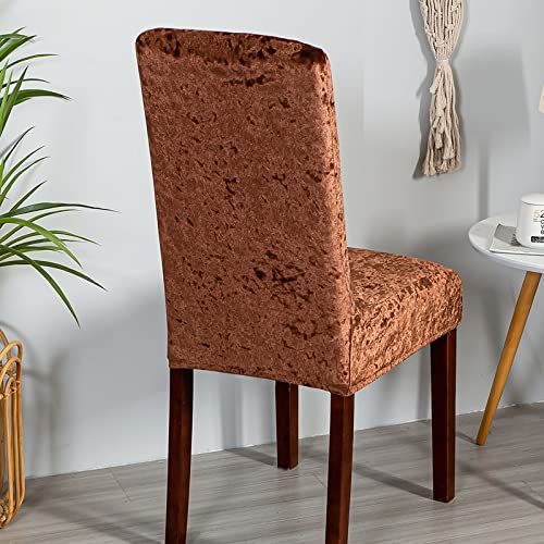 Housse de chaises lavable et extensible KnSam en velours café