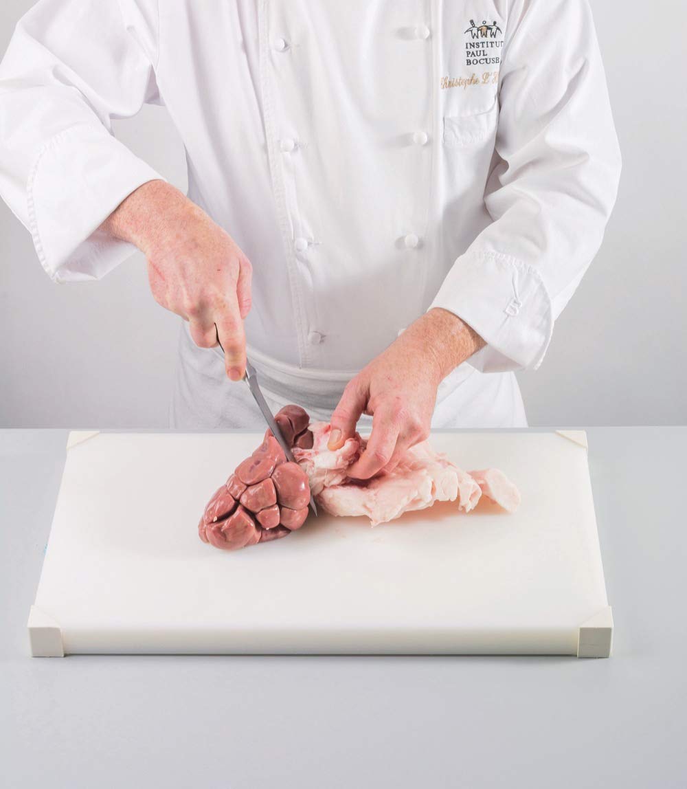 Grundlagen-Kochbuch: Die hohe Schule des Kochens. Grundlagen, Techniken, Rezepte. Es beginnt mit dem ersten Schritt: Vom Einsteiger zum Meisterkoch ... Spitzenküche.: Grundlagen, Techniken, Rezepte