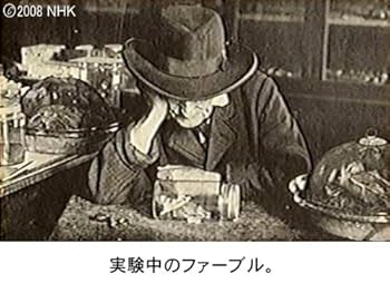 ファーブル昆虫記 セミとサソリ 生と死を見つめて [DVD] Amazon.co.jp: ファーブル昆虫記 (10)フンコロガシとサソリ [DVD