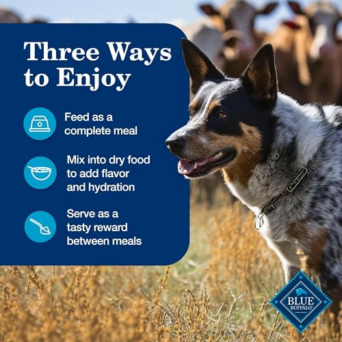 Image of Blue Buffalo Homestyle Recipe Variety Pack Wet Dog Food, 12.5 oz, 6 ct