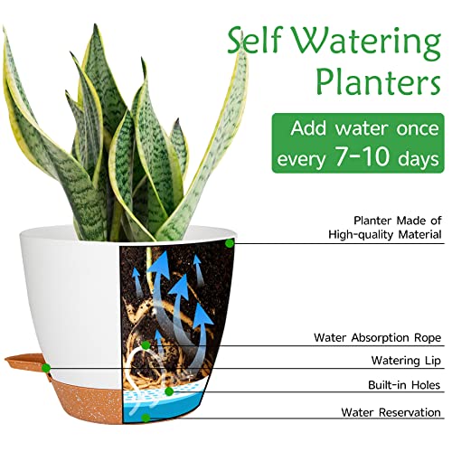 CSYY Plant Pots Indoor, 7Pack Plastic Plant Pots 20.3/19/17.7/16.5/15.2/14/12.7cm - Image 4