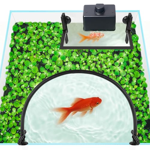 Floating Plant Corral for Aquarium Self-Adjusting Barrier with EV Foam Protects Floating Plants from Filter Fish Tank Feeding Ring Includes Suction Cups & Net