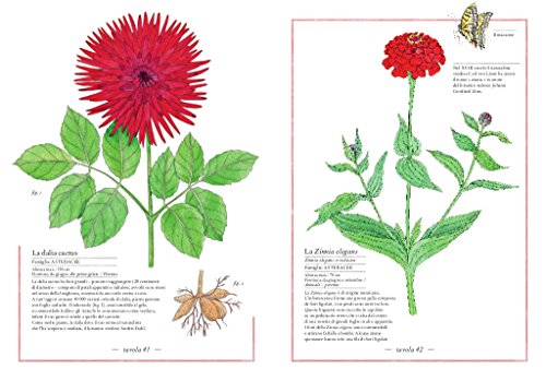 Inventario illustrato dei fiori