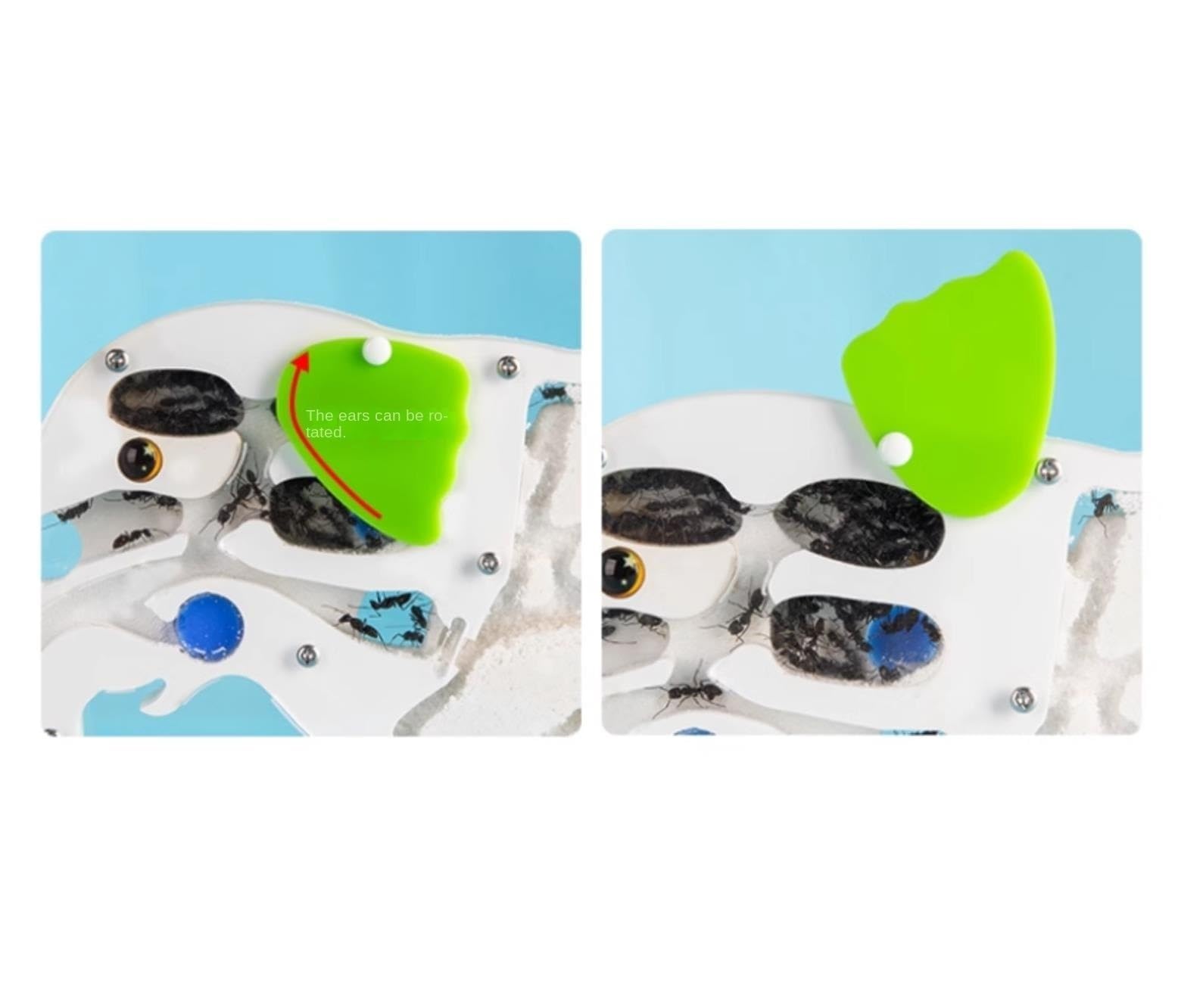 Nido del castello della fattoria delle formiche – Kit di osservazione dell'habitat e della scienza for l'osservazione delle colonie, perfetto for gli appassionati di formiche Casetta per formiche