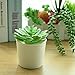 KUUQA 16 Pcs Mixed Artificial Succulent Flowers Plants Unpotted Decor Stems Faux Succulents Plants Bulk Assorted Picks for Home Decor Indoor Wall Garden DIY Decorations