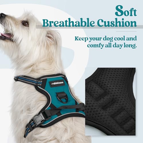 Image of rabbitgoo Dog Harness No Pull with 2 Leash Clips, Adjustable Soft Padded, Reflective Oxford No Choke Pet Vest with Easy Control Handle for Puppy, Blue Coral, XS | No Choke, Adjustable, Breathable Padded, 2 Lead Rings, Reflective, Easy Control for Walking Training, XS, Blue Coral