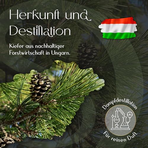 Kiefernöl Duftessenz hochkonzentriert für Diffuser und Saunaaufguss, intensiver Waldduft, ideal für Kerzen gießen, Seife, Wax Melts und DIY Raumduft