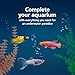 Aqueon Fish Tank Aquarium Essentials Starter Kit for 10 Gallon Tanks
