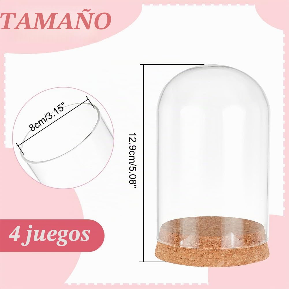 PH PandaHall 4 piezas de cúpula de vidrio transparente con base de corcho, tarros decorativos de vidrio para exhibición coleccionables, figuras de almacenamiento de flores, decoración de fiesta de