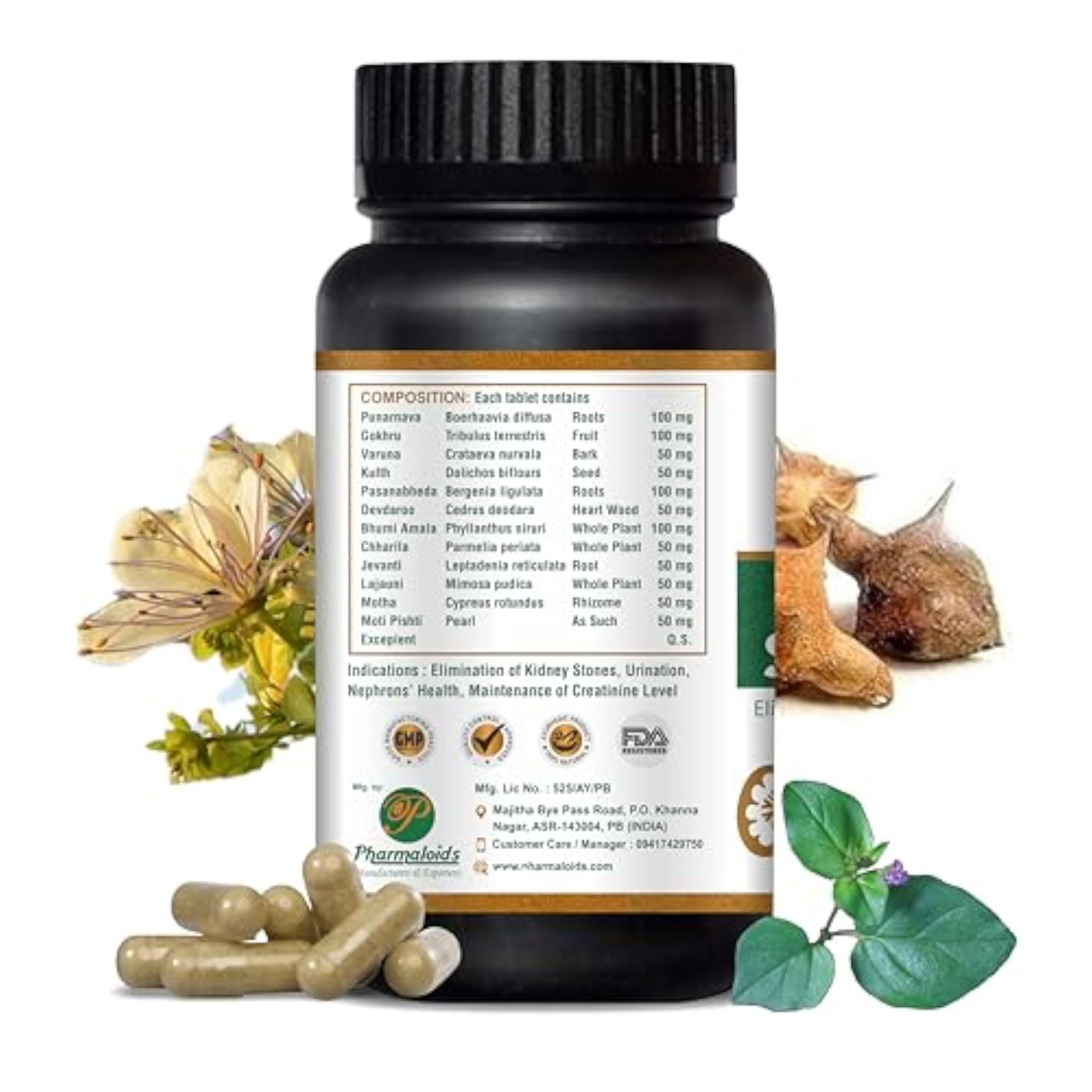 KIDNEY SUPPORT Tablets Pack of 1, Health Supplement
