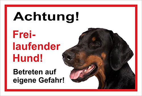 Preisvergleich Produktbild Schild Warnschild - Achtung freilaufender Hund Betreten auf eigene Gefahr - Hund Hundeschild 30x20cm Hartschaum Aluverbund -S31W