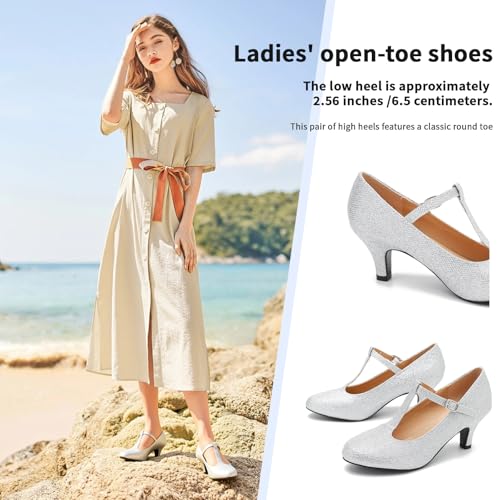 Women's Pumps Low Kitten Heels Mary Jane Retro T-Strap Comfortable Office Work Dress Shoes4