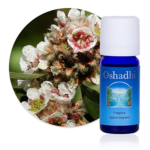 Huile essentielle de Fragonia Agonis fragrans bienfaits relaxation 5 ml