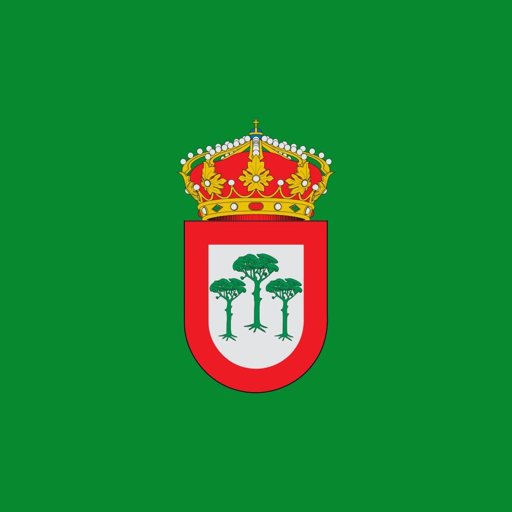 Drapeau El Hoyo de Pinares grand format emblème municipal Ávila Castille-et-León