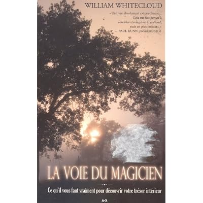 La voie du magicien: Ce qu'il vous faut vraiment pour d&eacute;couvrir votre tr&eacute;sor int&eacute;rieur