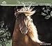Lesley Harrison - The Spirit of Horses Wall Calendar (2016)