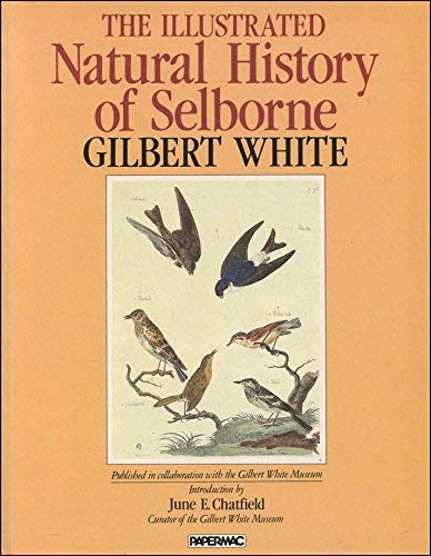 The Illustrated Natural History Of Selborne Amazon Co Uk Gilbert