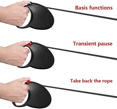 Auto Retractable Dog Leash Explore Training Lead - 10 Ft/16.11Ft Pet Dog Walking Running Rope