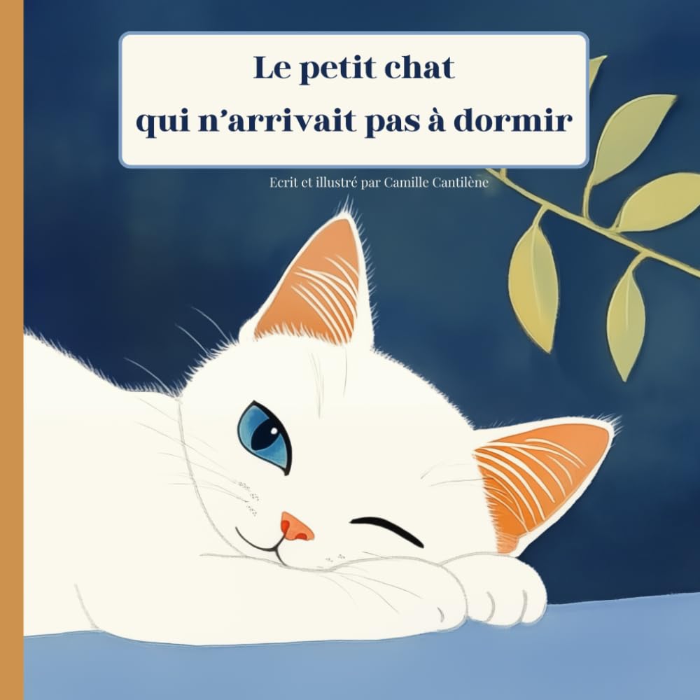 Le petit chat qui n’arrivait pas à dormir: Livre illustré pour enfant de 2ans à 6ans, histoire du soir pour bébé, album de jeunesse sur ... enfants,