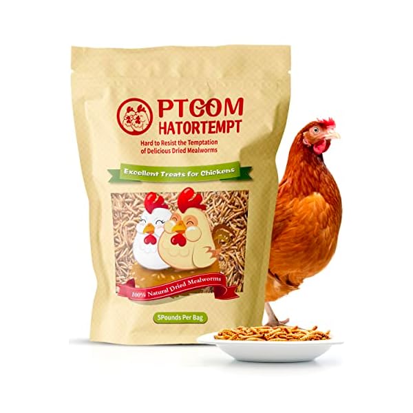 Hatortempt Dried Mealworms 5 lbs Premium Organic NonGMO Dried