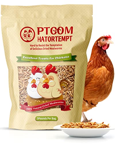 Hatortempt Dried Mealworms 5 lbs - Organic Non GMO Dried Meal Worms for Chickens - High Protein Chicken Feed - Dried Meal Worms for Wild Birds & Chicken Treats for Laying Hens - Mealworms for Birds