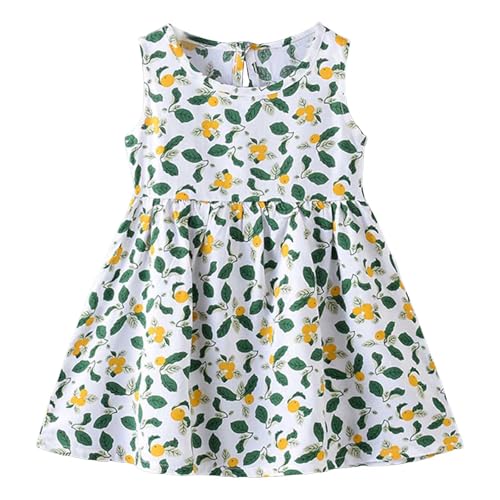 [veolaimy] q m[X[u s[X LbY ̎q   ʋC Wp[XJ[g K[Y ؍  vZXhX  vg 킢 hX WjA lC  ʊw ʉ i ][g Mtg(B-O