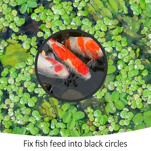 Image of 10 Pcs Fish Feeding Rings Set 5 Sizes Aquarium Round Feeder Ring for Fish Tank Aquarium Floating Plant Corral for Intercepts Floating Plants Black