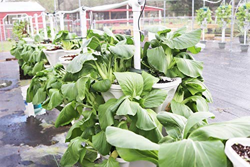 13 Inch 5 Layer Herb Vertical Gardening Planters (Green) #TOP1