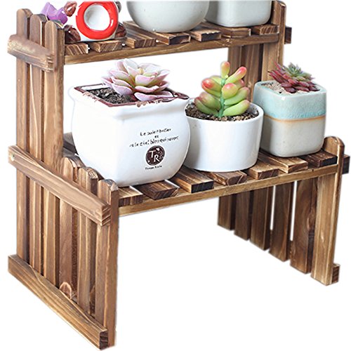 WINGOFFLY 2 Tier Tabletop Wooden Plant Stand Decorative Planter Holder Desktop Flower Pot Shelf Rack for Office Home 11.8"L x 8.25"W x 11.8"H(Carbonized Color)