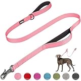 Fida 4 FT Heavy Duty Dog Leash with 2 Comfortable Padded Handles, Traffic Handle & Advanced Easy Sna