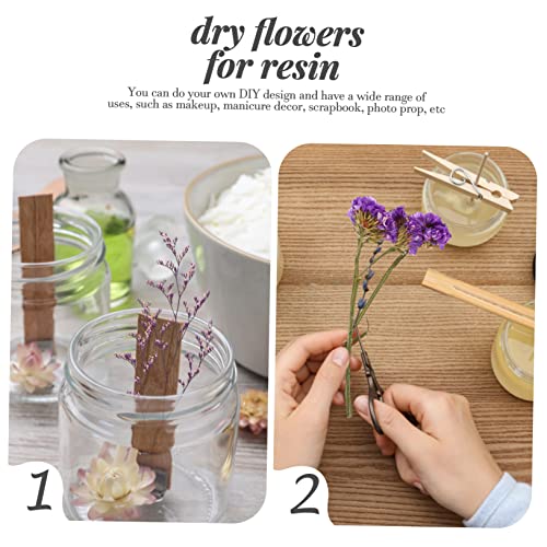 Kit de flores secas para manualidades Cabilock miniatura 3