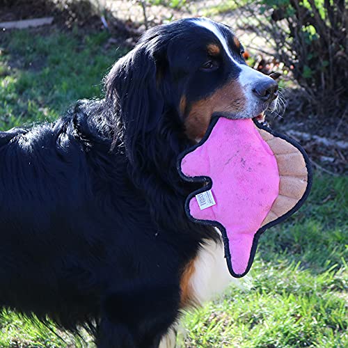 Juguete para perro dinosaurio rosa resistente con sonido miniatura 5