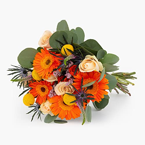 Bloomsybox Farm-Fresh Celebration Bouquet, Multicolor Design, Care Card, Flower Food, Lush Greenery, Flower Delivery, Birthday Flowers, Anniversary Flowers, Wedding Flowers #TOP1