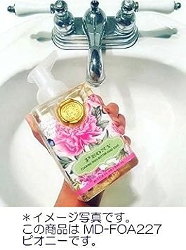 Michel Design Works Scented Foaming Hand Soap, Ho Ho Ho