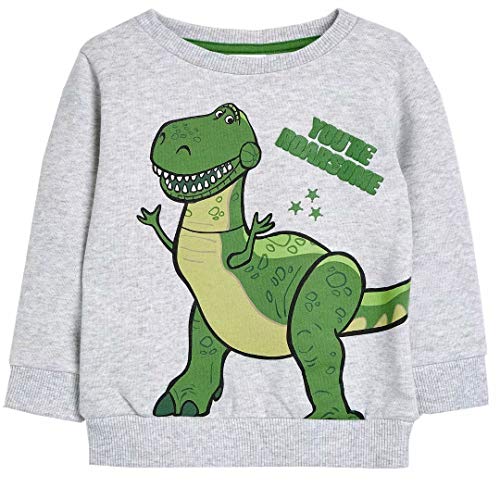 Bumeex Toddler Boy Clothes Grey Dinosaur Sweatshirt,Cotton Cute Crew Neck Long Sleeve Top 5t