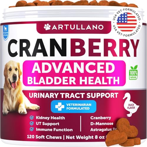 Dog UTI Treatment - Cranberry Supplement & Bladder Control for Dogs - Urinary Tract Infection Incontinence Pill, Bladder Stones - UTI Medicine Treats - 120 Soft Chews for Kidney Support with Fish Oil
